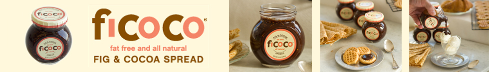 ficoco Copyright ficoco 2009