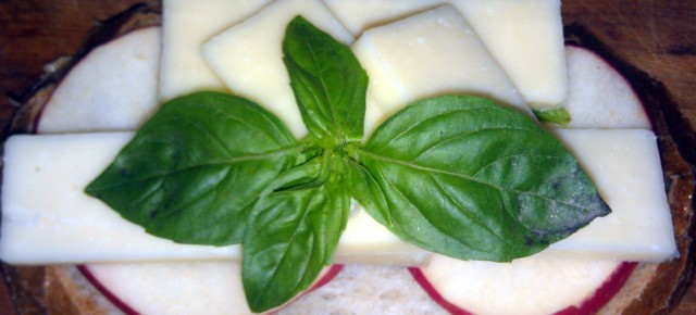April is Grilled Cheese Month: #14 Bravo Farms Premium Cheddar with Pink Lady Apple and Fresh Basil