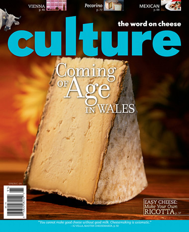 culture-magazine-cover-2009-spring